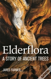 Capa do artigo Elderflora