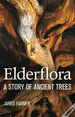 Capa do artigo Elderflora