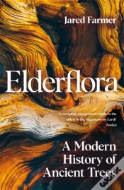 Capa do artigo Elderflora
