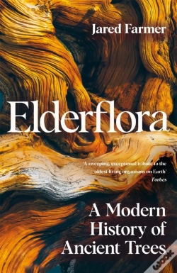 Capa do artigo Elderflora