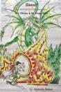 Eleanor & The Dragon Runt - Preview
