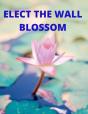Elect The Wall Blossom - Preview