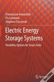 Capa do artigo Electric Energy Storage Systems