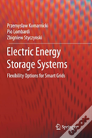Electric Energy Storage Systems