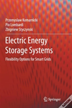 Capa do artigo Electric Energy Storage Systems