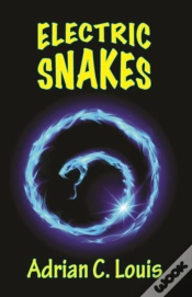 Capa do artigo Electric Snakes
