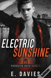 Capa do artigo Electric Sunshine