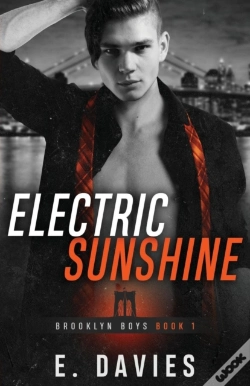 Capa do artigo Electric Sunshine