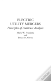 Capa do artigo Electric Utility Mergers