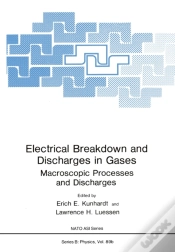 Capa do artigo Electrical Breakdown And Discharges In Gases