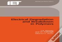 Electrical Degradation And Breakdown In Polymers