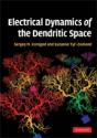 Electrical Dynamics Of The Dendritic Space - Preview