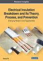 Electrical Insulation Breakdown And Its Theory, Process, And Prevention - Preview