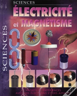 Capa do artigo Électricité Et Magnétisme
