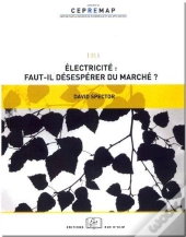 Électricité ; Faut-Il Désespérer Du Marché ?