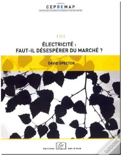 Capa do artigo Électricité ; Faut-Il Désespérer Du Marché ?