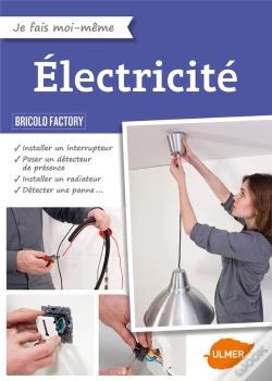 Capa do artigo Electricite (L')