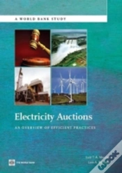 Capa do artigo Electricity Auctions