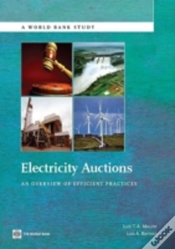 Capa do artigo Electricity Auctions