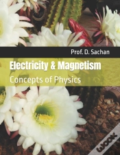 Capa do artigo Electricity & Magnetism