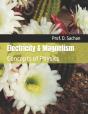 Electricity & Magnetism - Preview