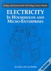 Capa do artigo Electricity In Households And Microenterprises