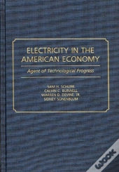 Electricity In The American Economy