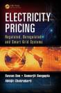 Electricity Pricing - Preview