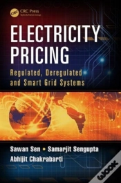 Capa do artigo Electricity Pricing