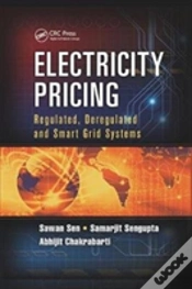 Capa do artigo Electricity Pricing