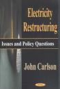 Electricity Restructuring - Preview