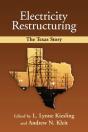 Electricity Restructuring - Preview