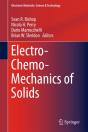 Electro-Chemo-Mechanics Of Solids - Preview