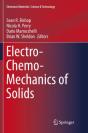 Electro-Chemo-Mechanics Of Solids - Preview