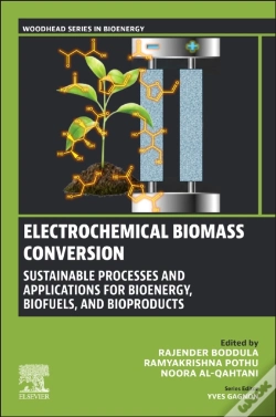 Capa do artigo Electrochemical Biomass Conversion