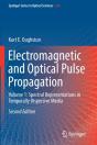Electromagnetic And Optical Pulse Propagation - Preview