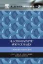 Electromagnetic Surface Waves - Preview