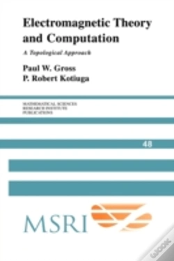 Capa do artigo Electromagnetic Theory And Computation