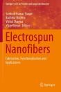 Electrospun Nanofibers - Preview