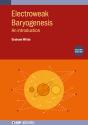 Electroweak Baryogenesis (Second Edition) - Preview