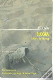 Capa do artigo Elegia