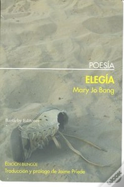 Capa do artigo Elegia