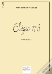Capa do artigo Elegie N03 Pour Flute