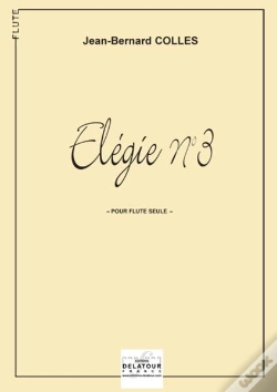 Capa do artigo Elegie N03 Pour Flute