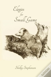 Capa do artigo Elegies For Small Game