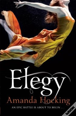 Capa do artigo Elegy