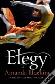 Capa do artigo Elegy