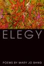 Elegy - Preview