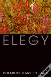 Capa do artigo Elegy