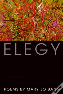 Capa do artigo Elegy